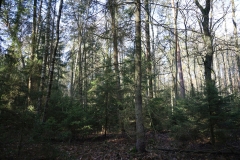 2024-02-2025 Liciążna (32)