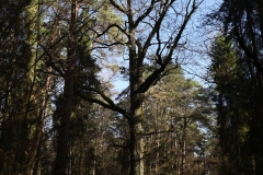 2024-02-2025 Liciążna (34)