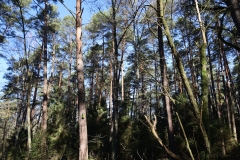2024-02-2025 Liciążna (37)