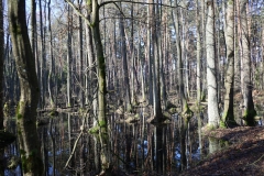 2024-02-2025 Liciążna (38)