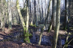2024-02-2025 Liciążna (39)