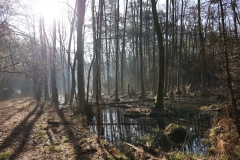 2024-02-2025 Liciążna (41)