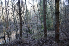 2024-02-2025 Liciążna (5)