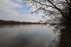 2024-03-15 Grądy (11)