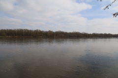 2024-03-15 Grądy (12)