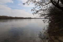 2024-03-15 Grądy (14)