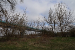 2024-03-15 Grądy (5)