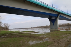 2024-03-15 Grądy (9)