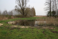 2024-03-31 Sochowa Zagroda (4)