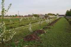 2024-04-14 Sochowa Zagroda (10)