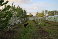 2024-04-14 Sochowa Zagroda (4)