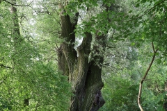 2024-05-20-23 Podlasie (102)