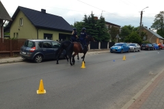 2024-05-26 Rzeczyca (3)