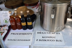2024-07-21 Rawa Mazowiecka (13)