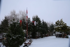 2025-01-12 Sochowa Zagroda (3)