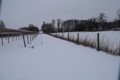 2025-01-12 Sochowa Zagroda (5)