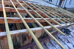 2025-01-25 Sochowa Zagroda - dach (1)