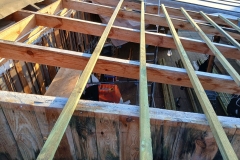 2025-01-25 Sochowa Zagroda - dach (2)