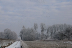 2025-02-20 Sochowa Zagroda (10)