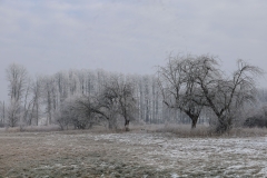 2025-02-20 Sochowa Zagroda (11)