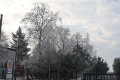 2025-02-20 Sochowa Zagroda (5)