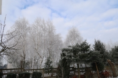 2025-02-20 Sochowa Zagroda (6)