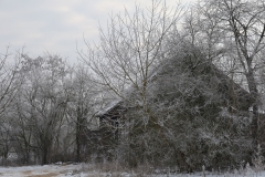 2025-02-20 Sochowa Zagroda (8)