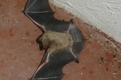 2025-03-23 Sochowa Zagroda (3)