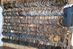 2025-04-13 Sierzchowy (1)