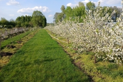 2025-05-01 Sierzchowy (10)