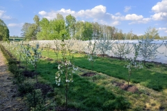 2025-05-01 Sierzchowy (7)