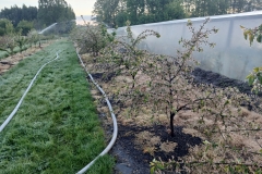 2025-05-08 Sierzchowy (24)