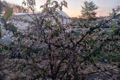 2025-05-08 Sierzchowy (3)