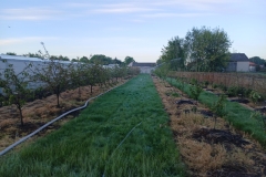 2025-05-08 Sierzchowy (9)