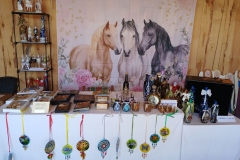 2025-05-11 Sanogoszcz (10)