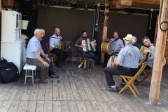 2025-06-06 Sochowa Zagroda - muzyka (2)