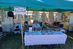 2025-06-14 Bratoszewice (10)