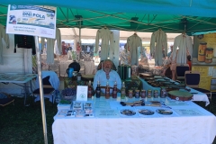 2025-06-14 Bratoszewice (5)