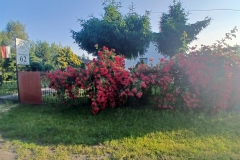 2025-06-17 Sochowa Zagroda (11)