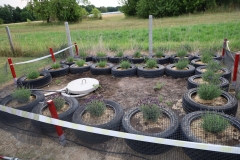 2025-07-25 Sochowa Zagroda (1)