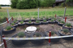 2025-07-25 Sochowa Zagroda (3)