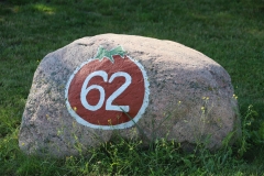 2025--07-26 Sochowa Zagroda - muzyka (2)