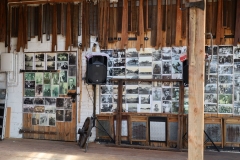 2025--07-26 Sochowa Zagroda - muzyka (8)