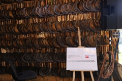 2025--07-26 Sochowa Zagroda - muzyka (9)