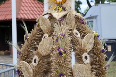 2025-08-24 Rzeczyca (3)