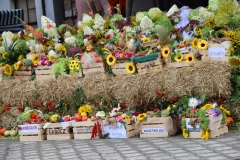 2025-08-24 Rzeczyca (4)