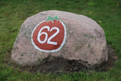 2025-08-16 Sochowa Zagroda - muzyka (2)