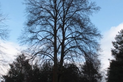 2019-01-15 Glina krzyż nr3 (1)