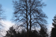 2019-01-15 Glina krzyż nr3 (2)