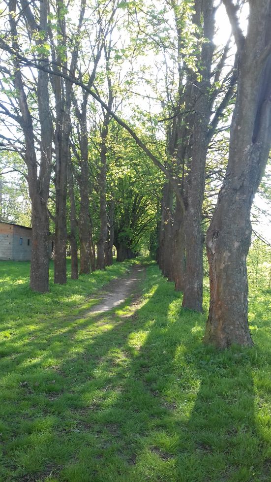 2018-04-22 Nowe Miasto - pałac (21)